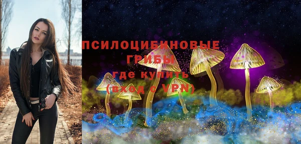 стафф Алексин