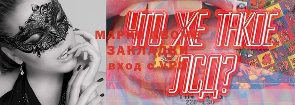 крисы Алзамай