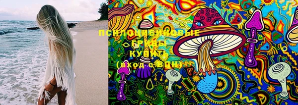 крисы Алзамай