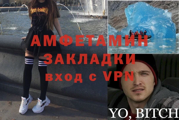 крисы Алзамай