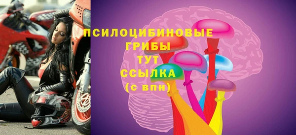крисы Алзамай