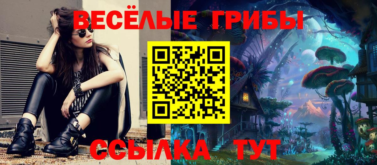 наркотики  Вход с VPN  Боровичи  Псилоцибиновые грибы Cubensis 